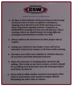 CSW lessons 